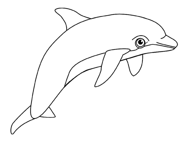 Delfin kolorowanki